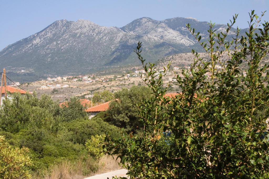 Anna Maria Studios Агиос Николаос Стая снимка